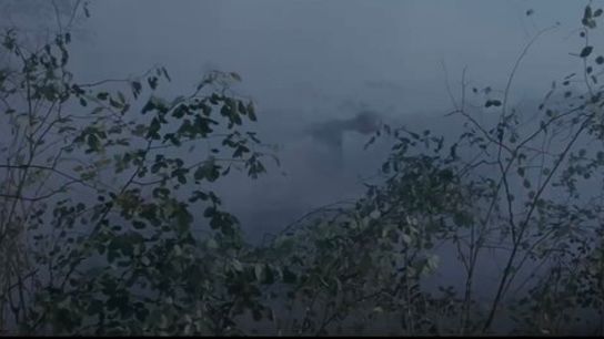 31-B195-FC-E280-49-F1-B943-1-B12-C55-E421-D