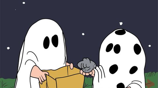 AD289-D4-D-7-BB1-4-FA9-A3-C0-1003424569-E6