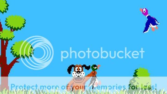  photo Duck-Hunt.jpg