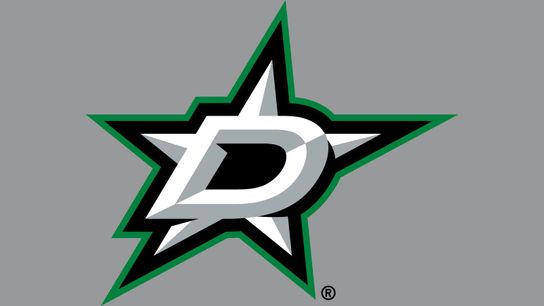 Global Series: Projected Stars Lineup vs. Florida for 11/1/2024 (NHL)