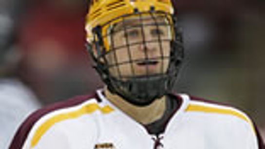 Silky Mitts (sabres mittelstadt)