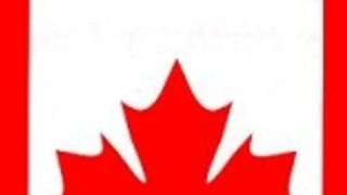 Red, White and Blue, They Played Like P** (Toronto Maple Leafs)