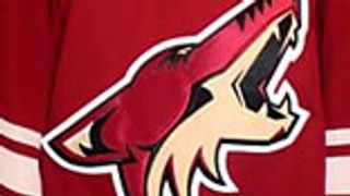 I am Just Curious If This Works (Coyotes)