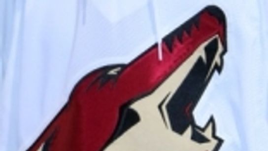 Plus/Minus:The NHL Week in Review; Coyotes, Leafs, Blues and More.  (Blues)