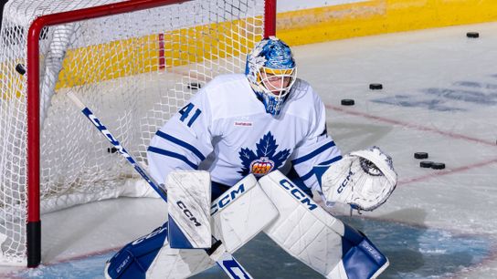 The Goalie Loophole: How Dennis Hildeby Can Help The Leafs Beat the NHL's New Playoff Cap (NHL News)