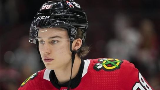 Bedard Out 4 Months, Fantilli Price Soars: NHL Rumor Notes (Eklund). Photo by hockeybuzz.com