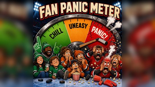 NHL Fan Panic Meter: Real Worries vs. Noise for All 32 Teams (Eklund). Photo by hockeybuzzz.com