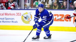 Which Toronto Marlies Player Will Graduate to the Maple Leafs Next Season (NHL News)