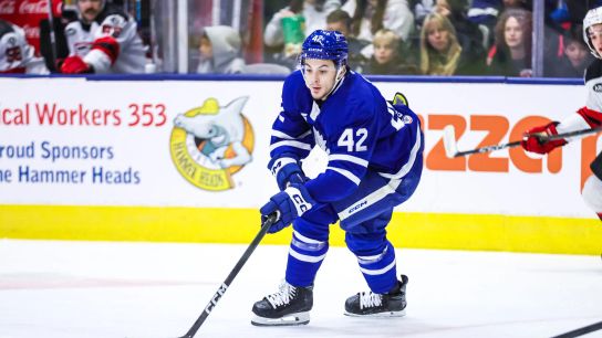 Which Toronto Marlies Player Wil Graduate to the Maple Leafs Next Season (NHL News)