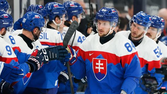 Three More Depth Free Agent Options for the Montreal Canadiens (Montreal Canadiens)