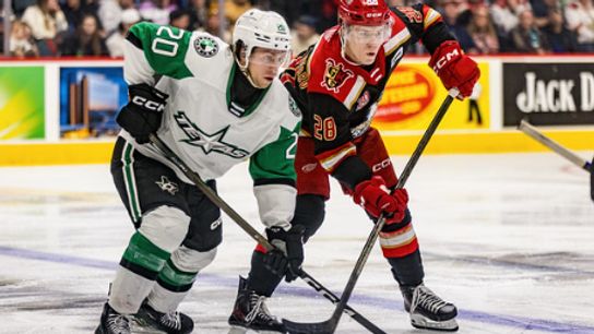 One American Hockey League team is Too Good to be True (NHL News)