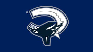 Canucks Destabilizing  (NHL News)