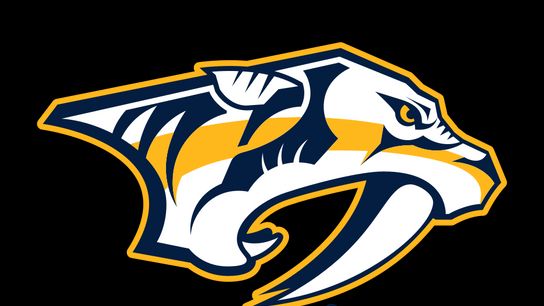 What's Next for the Nashville Predators? (Central Division)